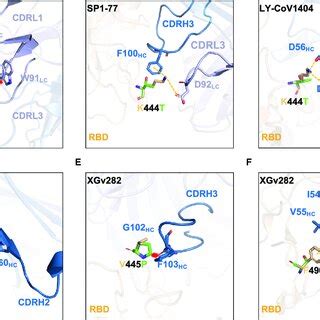 Structural Analysis Of Mutational Effects On Binding Of Mabs A F