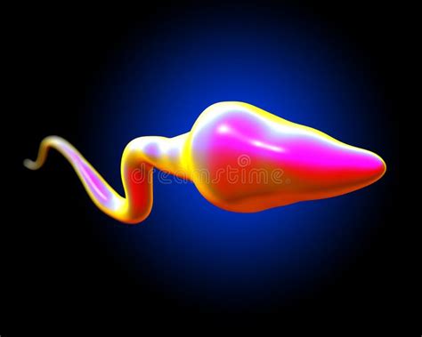 Single Sperm Fertilizing Egg Stock Illustration Illustration Of