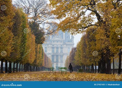 In the Tuileries stock image. Image of trees, leaves - 27931451