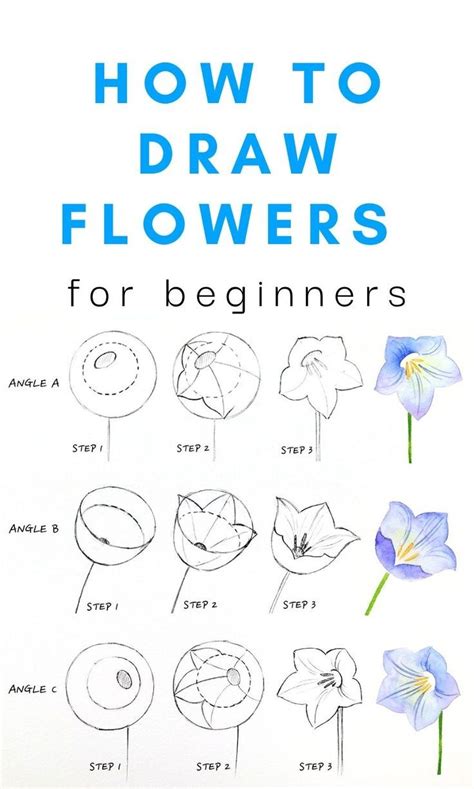 How To Draw A Flower For Beginners Step By Step In