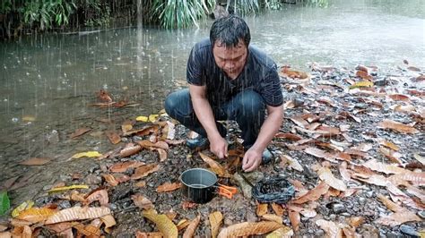 Solo Camping Hujan Deras Di Pinggir Sungai Hutan Borneo Over Night