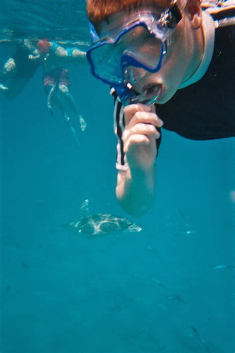 How Is Snorkeling in Barbados? - Trickyfish