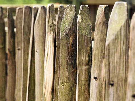 Palissade De Jardin Comment La Choisir AVS Jardins