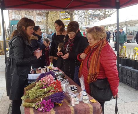 La novena Feria del Árbol se va a celebrar el próximo sábado día 15