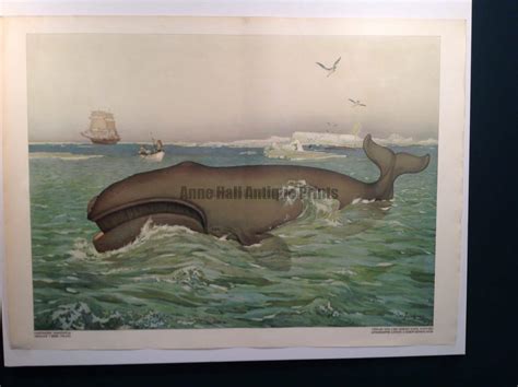 Whale Poster Chromolithograph whaleboat, oarsmen, Right Whale