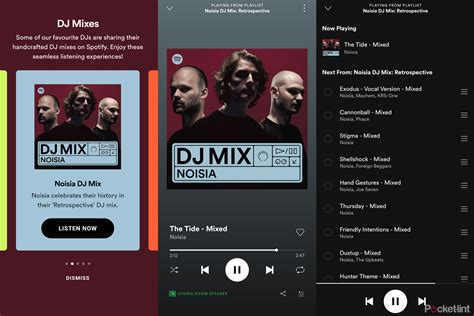 Dance fans rejoice: Spotify introduces DJ Mixes