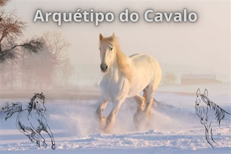 Arqu Tipo Do Cavalo Poder Dos Arqu Tipos