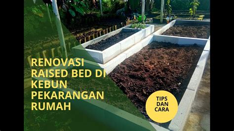 Tips Dan Cara Membuat Raised Bed Di Kebun Sayuran Pekarangan Rumah Dengan Hebel Youtube