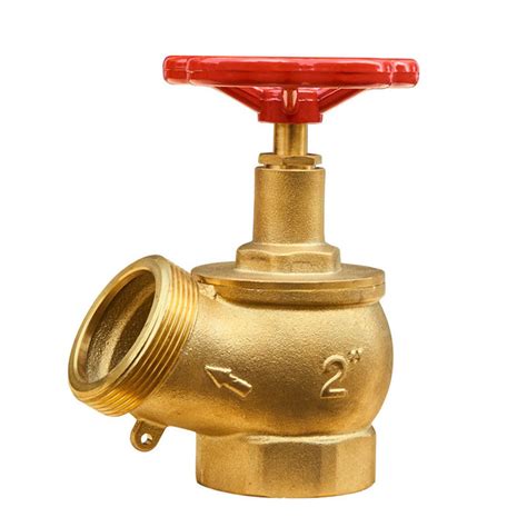 Indoor Outdoor Underground Ductile Iron Brass Foam Water Dn65 Fire Hydrant Fire Fighting And