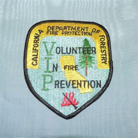 California Department Of Forestry Badge Etsy Australia