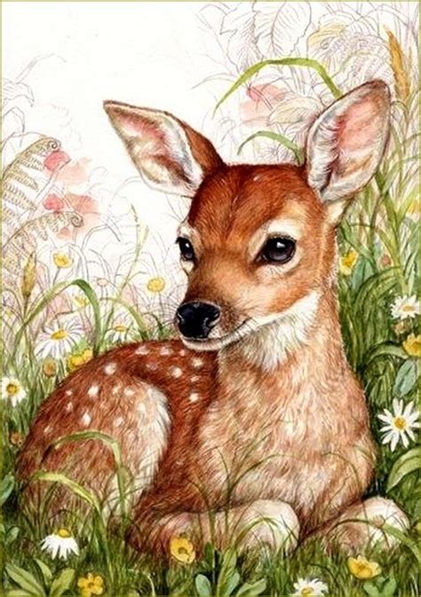 Cerfs Biches Faons Chevreuils En Peinture Et Illustrations Debbie