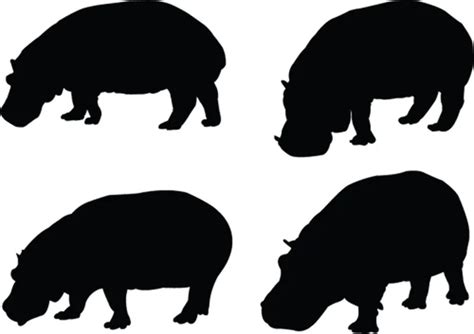 1,034 Hippo silhouette Vector Images | Depositphotos