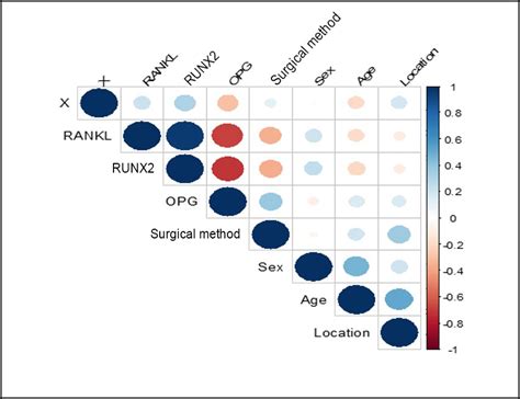 Rankl Opg And Runx Expression And Epigenetic Modifications In Giant