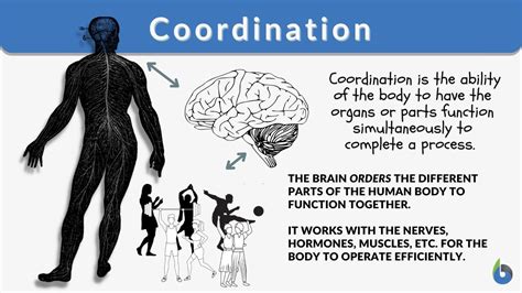 Coordination Definition And Examples Biology Online Dictionary