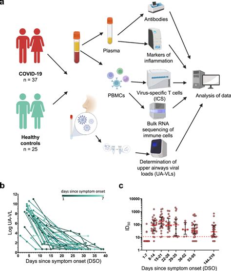 Study Overview Upper Airways Viral Loads And Antibody Mediated