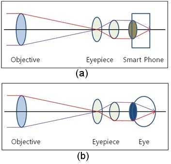 (Color online) Schematic diagrams of (a) simple telescope and (b)... | Download Scientific Diagram