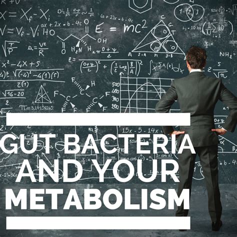 Main Ways Gut Bacteria Interfere with Your Metabolism