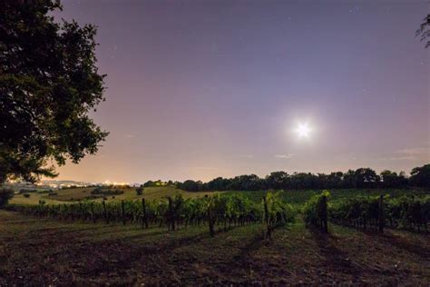 Checa este camping astronómico en un viñedo