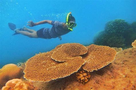 Wisata Bahari Pulau Tunda Kabupaten Serang Banten Surga Bawah Laut