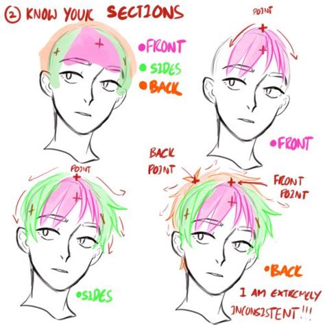 Hair Sections Drawings How To Draw Hair Drawing Techniques