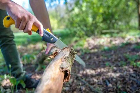 Pruning Saw Cutting Technique: A Detailed Guide Saw Travel