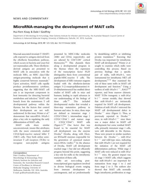 PDF MicroRNA Managing The Development Of MAIT Cells