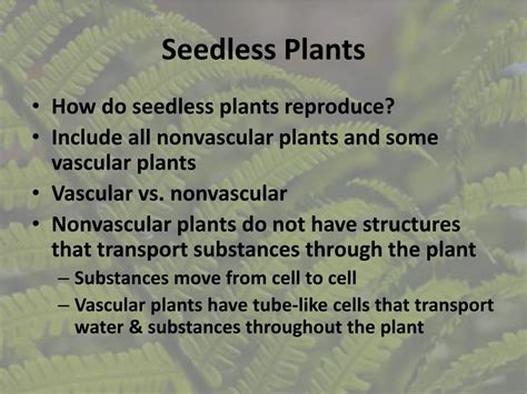 Ppt Seedless Plant Reproduction Powerpoint Presentation Free