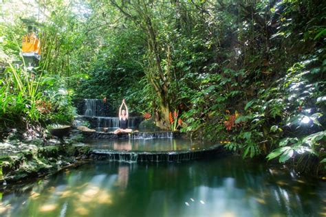 Alassari Plantation Keindahan Alam Dan Rekreasi Di Pusat Hati Bali