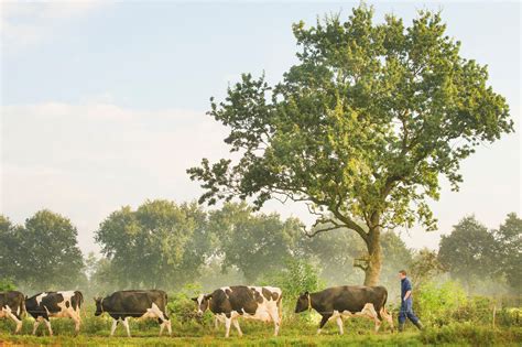 Boeren Aan De Slag Met Milieu Klimaat En Biodiversiteit BoerenNatuur