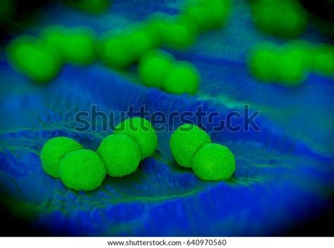 3d Rendering Neisseria Gonorrhoeae Bacteria 스톡 일러스트 640970560