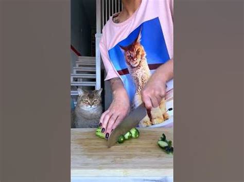 салат «зеленая богиня» или сколько у меня котов? #асмр #готовимдома # ...
