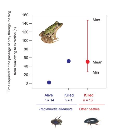 An insect species can actively escape from the vents of predators via ...