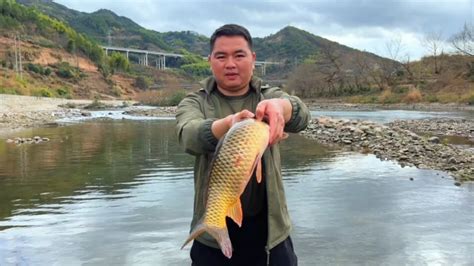 今天水库放水，和表哥联手把鱼赶到浅滩，捕获大鱼 农村生活苏源 农村生活苏源 哔哩哔哩视频