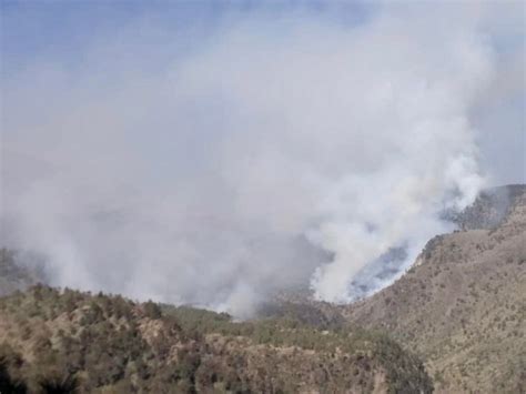 Se Registra Incendio En Parque Nacional Del Pico De Orizaba