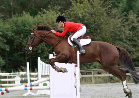 Horse Riding Sport Philippines at Marvin Thomas blog