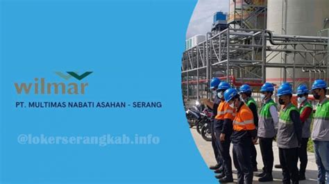 Lowongan Kerja Banyak Posisi Pt Multimas Nabati Asahan Wilmar Group