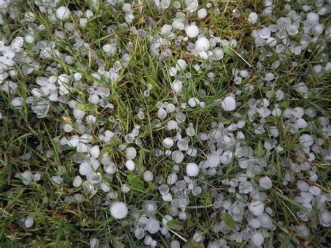 Watch: Telangana hit by heavy rainfall, severe hailstorms