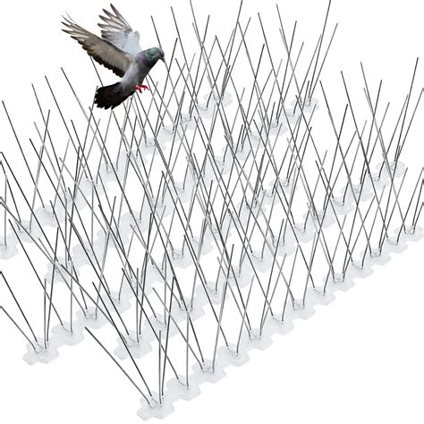 Buy Bird Spikes For Pigeons Small Birds Stainless Steel Feet