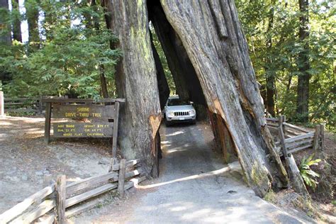 Redwood Highway Northern Californias Most Scenic Drive