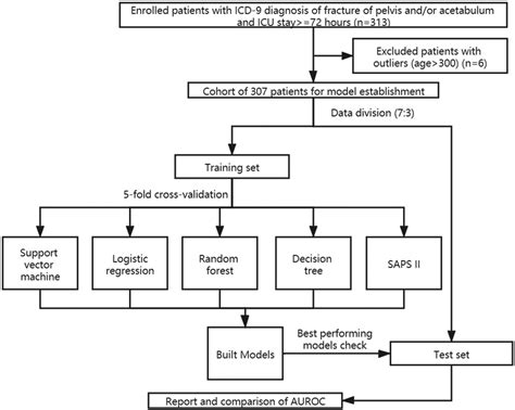 Flowchart Of Patient Selection And Study Design Download Scientific