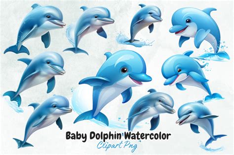 Baby Dolphin Watercolor Clipart By Bundlestshirt | TheHungryJPEG