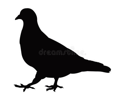 Pigeon Silhouette Stock Vector Illustration Of File