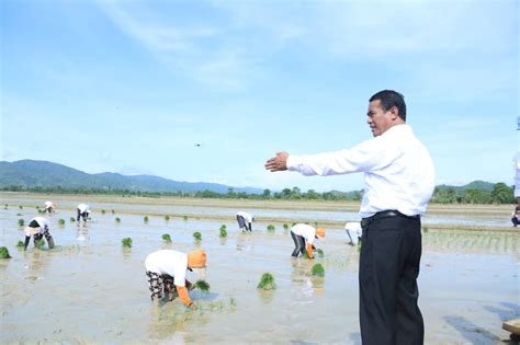 Kementan Dorong Penggunaan Padi Organik Untuk Menghadapi Krisis Pangan