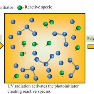 Commonly used oligomers in photopolymerization [43]. | Download ...