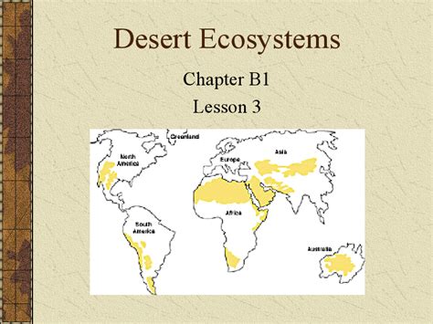 Diagram Of Desert Ecosystem