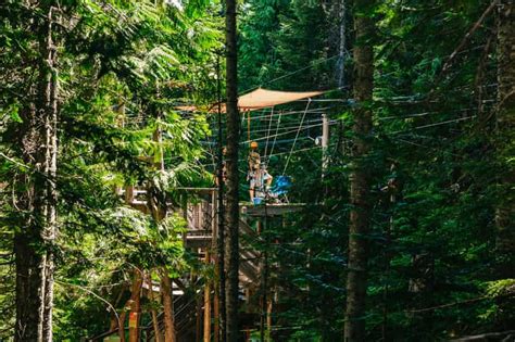 Whistler Zipline Ervaring Ziptrek Eagle Tour GetYourGuide