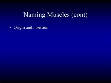 Human Muscular System Svhs Adv Biology Unit 6 Ppt Download