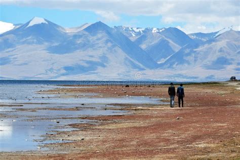 Manasarovar, Tibet, China, June, 14, 2018. Pilgrims Make Kora Around ...