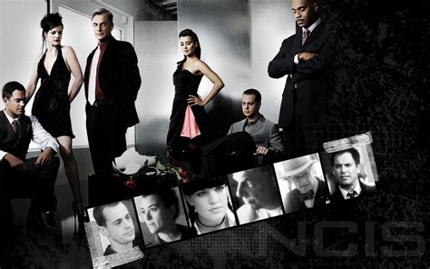 🔥 [70+] Ncis Ziva Wallpapers | WallpaperSafari