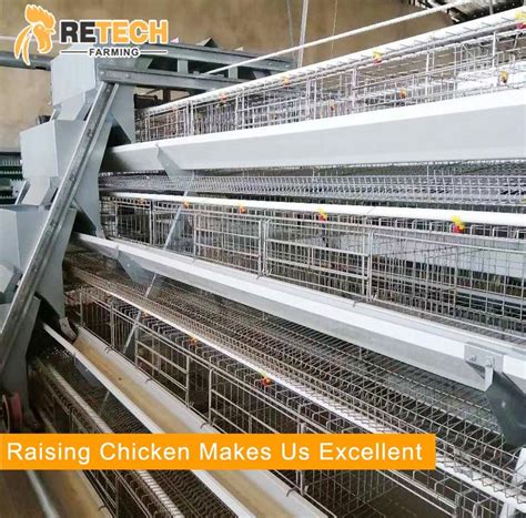 Automatic A Type Chicken Layer Battery Cage Rearing System China